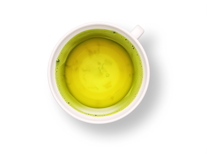 Focus Tea Sencha Green Tea Blend